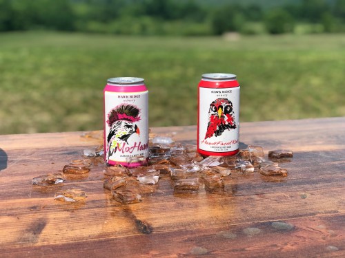 Two colorful cans of Hawk Ridge beverages sit on a wooden table surrounded by ice and a scenic green landscape.