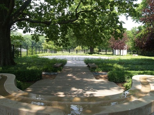 A serene park scene featuring a circular pathway, benches, and lush greenery under a large tree.
