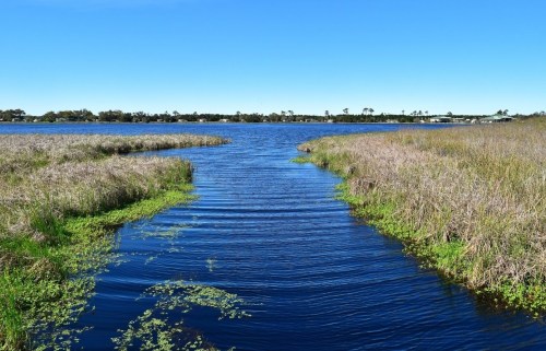 A serene waterway surrounded by tall grasses under a clear blue sky, reflecting the calmness of the landscape.