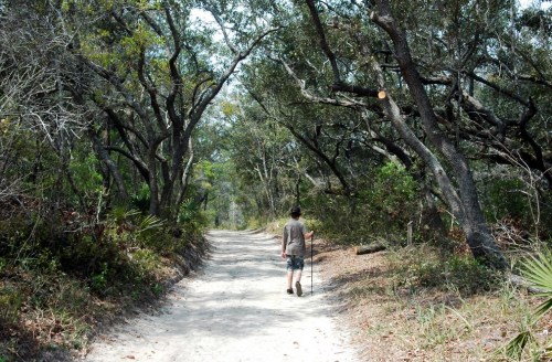 A person walks along a sandy path surrounded by trees and greenery in a tranquil outdoor setting.