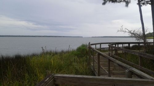 A wooden boardwalk leads through tall grass to a calm body of water under a cloudy sky.