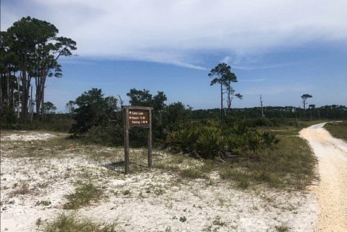 A wooden sign points to a trail for fishing at Fisheating Creek, surrounded by trees and sandy terrain.