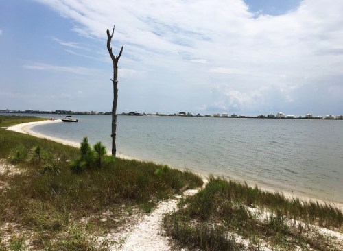 A serene beach scene with a sandy path, a dead tree, and a boat on calm waters under a cloudy sky.