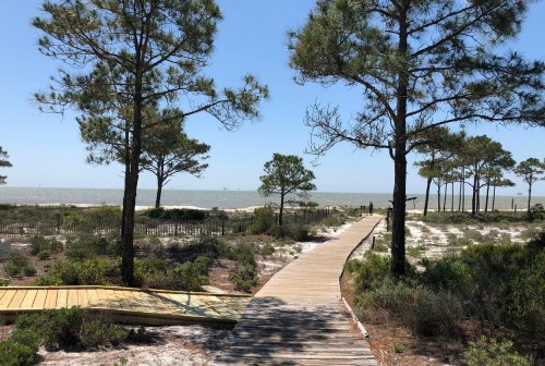 A wooden boardwalk leads through trees to a beach with gentle waves under a clear blue sky.