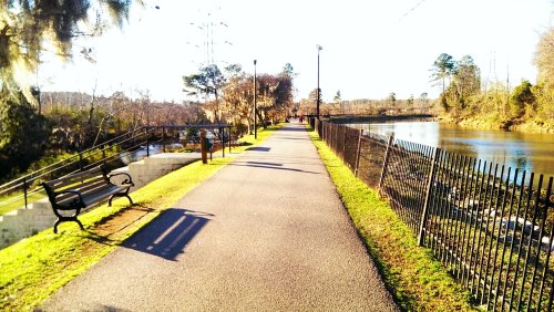 A scenic pathway alongside a river, with benches and a fence, surrounded by trees and sunlight.