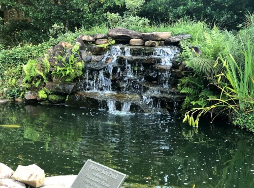 A serene waterfall cascading over rocks into a calm pond, surrounded by lush greenery and ferns.