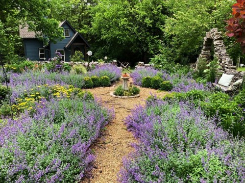 A vibrant garden filled with purple flowers, yellow blooms, and a winding path, surrounded by lush greenery and a cozy house.