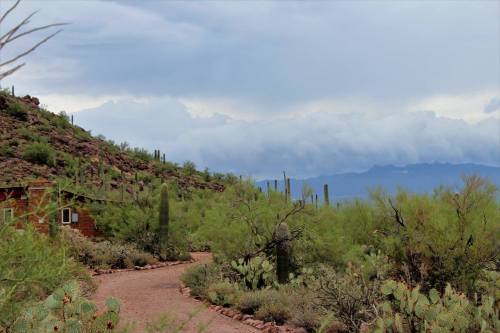 A winding dirt path leads through desert vegetation, with mountains and cloudy skies in the background.