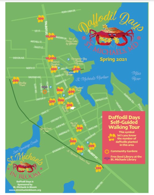 Map of St. Michaels, MD for Daffodil Days 2021, highlighting a self-guided walking tour and community gardens.