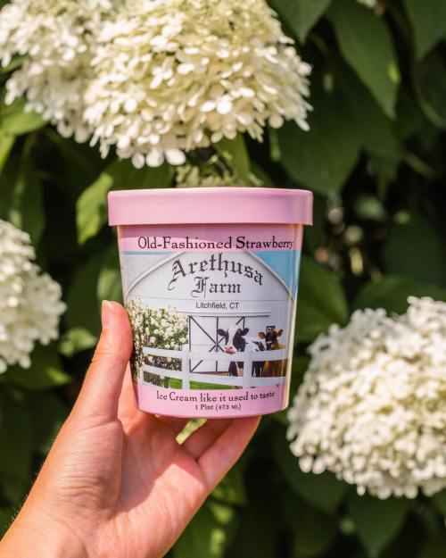 A hand holds a pint of Old-Fashioned Strawberry ice cream from Arethusa Farm, with white flowers in the background.