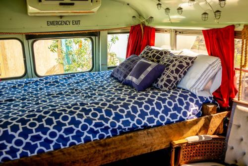 Cozy bed with patterned blue bedding and pillows inside a converted bus, featuring large windows and red curtains.