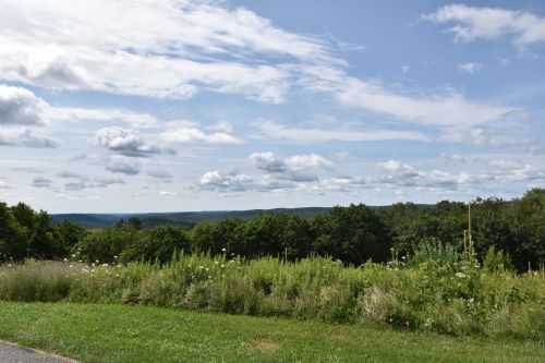 A scenic view of green hills under a partly cloudy sky, with wildflowers in the foreground.