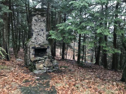 A weathered stone chimney stands among tall trees, surrounded by fallen leaves in a forested area.