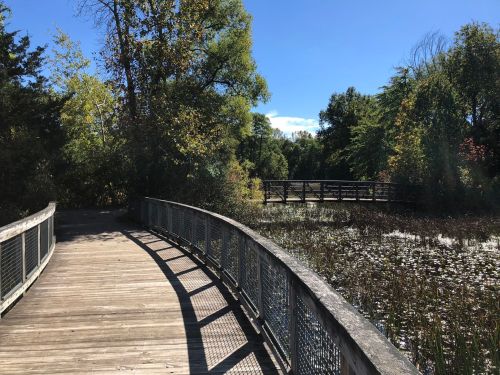 A wooden boardwalk curves through a lush green landscape, leading to a serene pond under a clear blue sky.