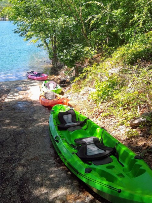 Three kayaks in vibrant colors sit on a rocky shore by a calm lake, surrounded by lush greenery.