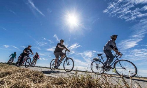 A group of cyclists rides along a path under a bright sun and blue sky, with grass in the foreground.