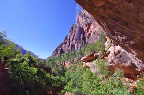 A scenic view of towering red rock cliffs surrounded by lush green trees under a clear blue sky.