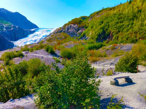 A scenic view of a glacier surrounded by lush greenery and rocky terrain under a clear blue sky.