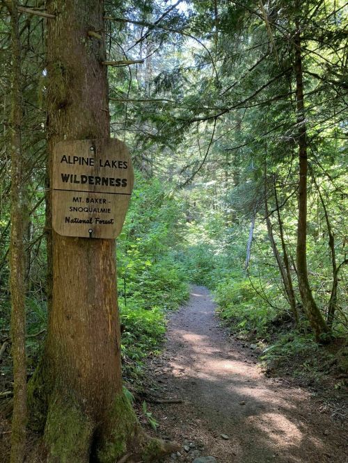 A wooden sign marks the Alpine Lakes Wilderness trail, surrounded by lush green trees and a dirt path.