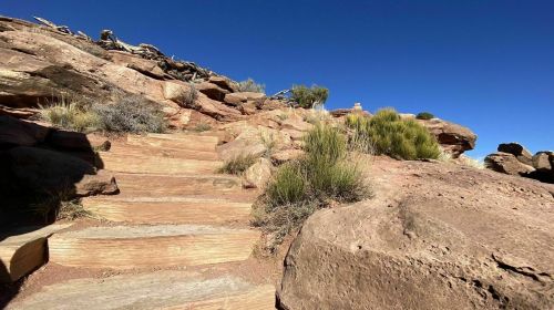 A rocky path with wooden steps leads up through sparse vegetation under a clear blue sky.