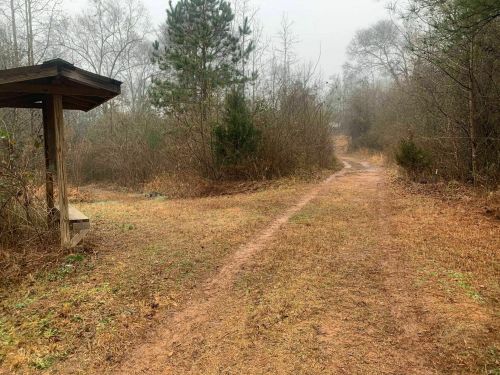 A misty path through a wooded area, with a small shelter on the left and overgrown grass on either side.