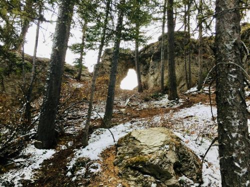 A snowy forest scene with tall trees and a rocky archway in the background, creating a natural frame.