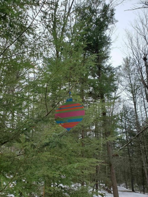 A colorful striped ornament hanging from a green tree in a snowy forest.