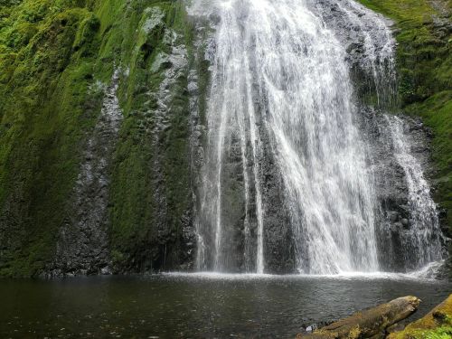 A cascading waterfall flows down a moss-covered rock face into a serene pool below, surrounded by lush greenery.