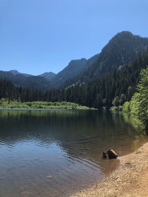 A serene lake surrounded by lush green trees and mountains under a clear blue sky.