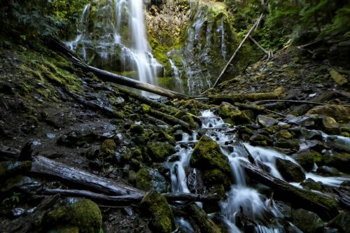 A serene waterfall cascades over moss-covered rocks, surrounded by lush greenery and fallen logs.