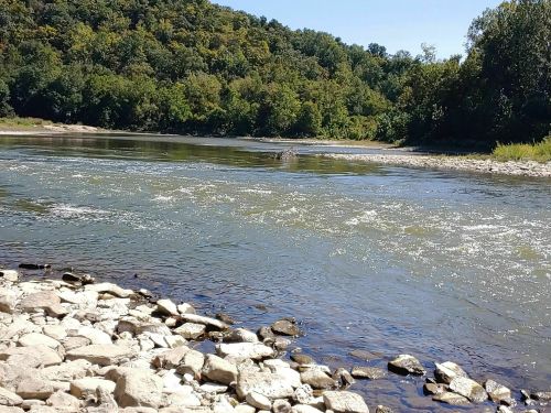 A serene river flows through a rocky shore, surrounded by lush green trees under a clear blue sky.