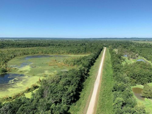 Aerial view of a lush green landscape with a dirt road, ponds, and vibrant vegetation under a clear blue sky.