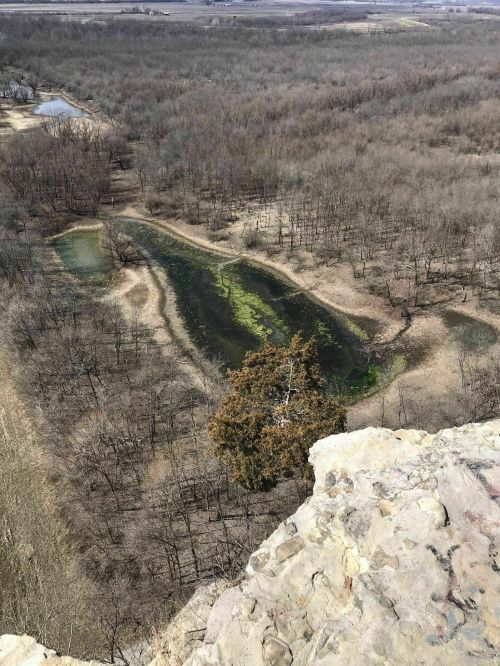 Aerial view of a winding river surrounded by bare trees and patches of green, showcasing a serene natural landscape.