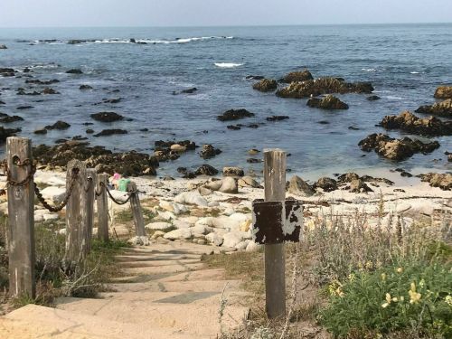 A rocky shoreline with gentle waves, featuring a path leading down to the beach and a weathered signpost.