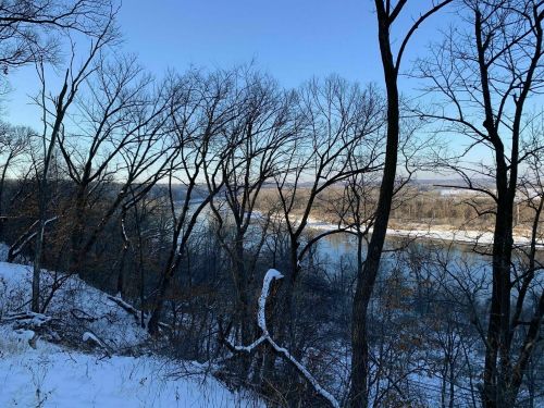 A winter landscape featuring bare trees along a riverbank, with snow covering the ground and a clear blue sky.