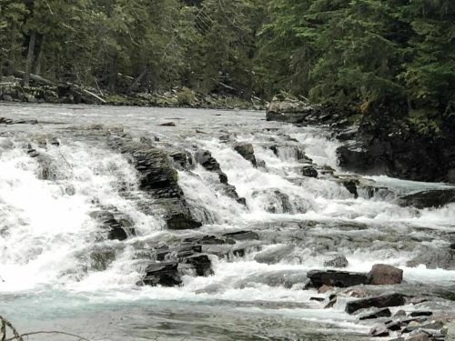 A serene river flows over rocky cascades, surrounded by lush green trees and a tranquil natural setting.