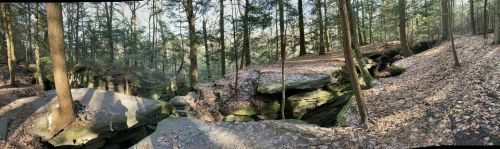 A panoramic view of a forested area with rocky outcrops and fallen leaves on the ground, surrounded by tall trees.