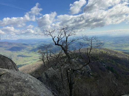 A barren tree stands on a rocky ledge, overlooking a lush valley and distant mountains under a partly cloudy sky.