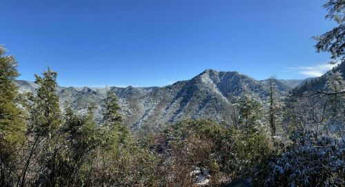 Snow-covered mountains under a clear blue sky, surrounded by evergreen trees and a serene winter landscape.