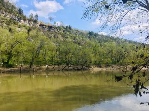 A serene river scene with lush green trees and a rocky hillside under a blue sky with scattered clouds.