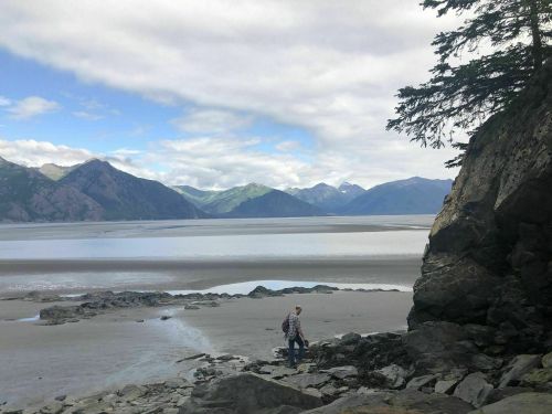 A person walks along a rocky shore with mountains and a cloudy sky in the background.