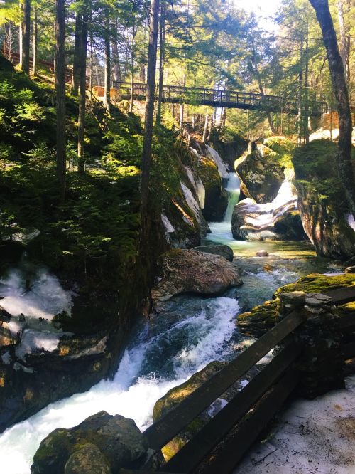 A serene forest scene with a rushing river, moss-covered rocks, and a wooden bridge above, surrounded by trees.