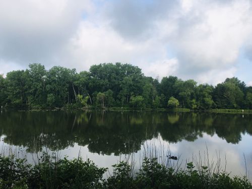 A serene lake surrounded by lush green trees, reflecting the sky and foliage on its calm surface.
