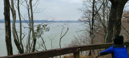 A child in a blue jacket gazes at a calm lake surrounded by bare trees under a cloudy sky.