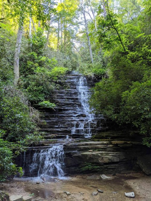 A serene waterfall cascades down rocky steps, surrounded by lush green foliage and trees in a tranquil forest setting.
