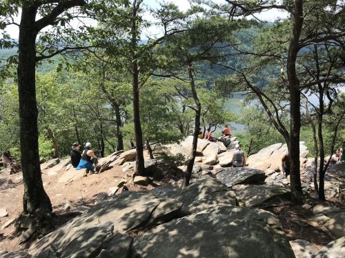 A scenic view from a rocky overlook, with people sitting among trees and a river visible in the background.