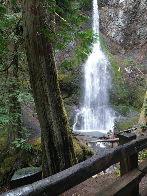 A serene waterfall cascades down rocky terrain, surrounded by lush green trees and a wooden railing in the foreground.