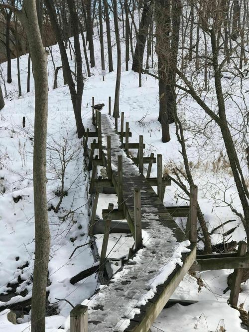 A wooden bridge covered in snow, surrounded by trees in a winter landscape.