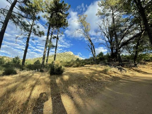 A scenic view of a dirt path surrounded by tall trees and a mountain under a blue sky with scattered clouds.