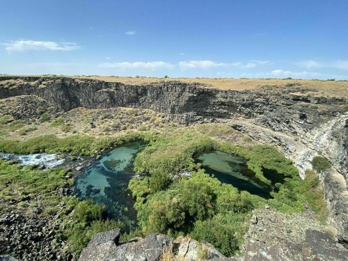 A scenic view of a rocky canyon with two green pools surrounded by lush vegetation under a clear blue sky.